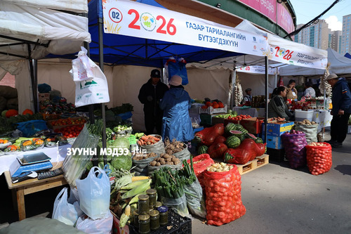 Намрын ногоон өдрүүд: Оролцогчид юу хэлэв